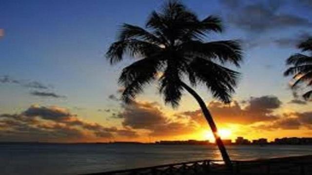 Apartamento Neo - Apartamento Quarto E Sala Praia De Pajucara *